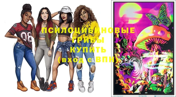 скорость Сафоново