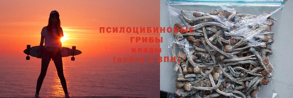 PSILOCYBIN Дубовка