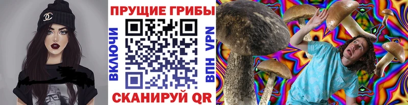 Псилоцибиновые грибы мицелий  Тула 