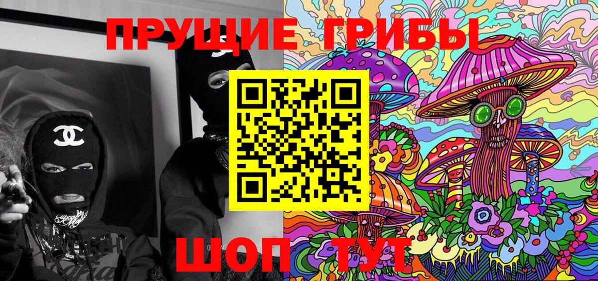 Псилоцибиновые грибы Psilocybe  Вход с VPN  Тула 
